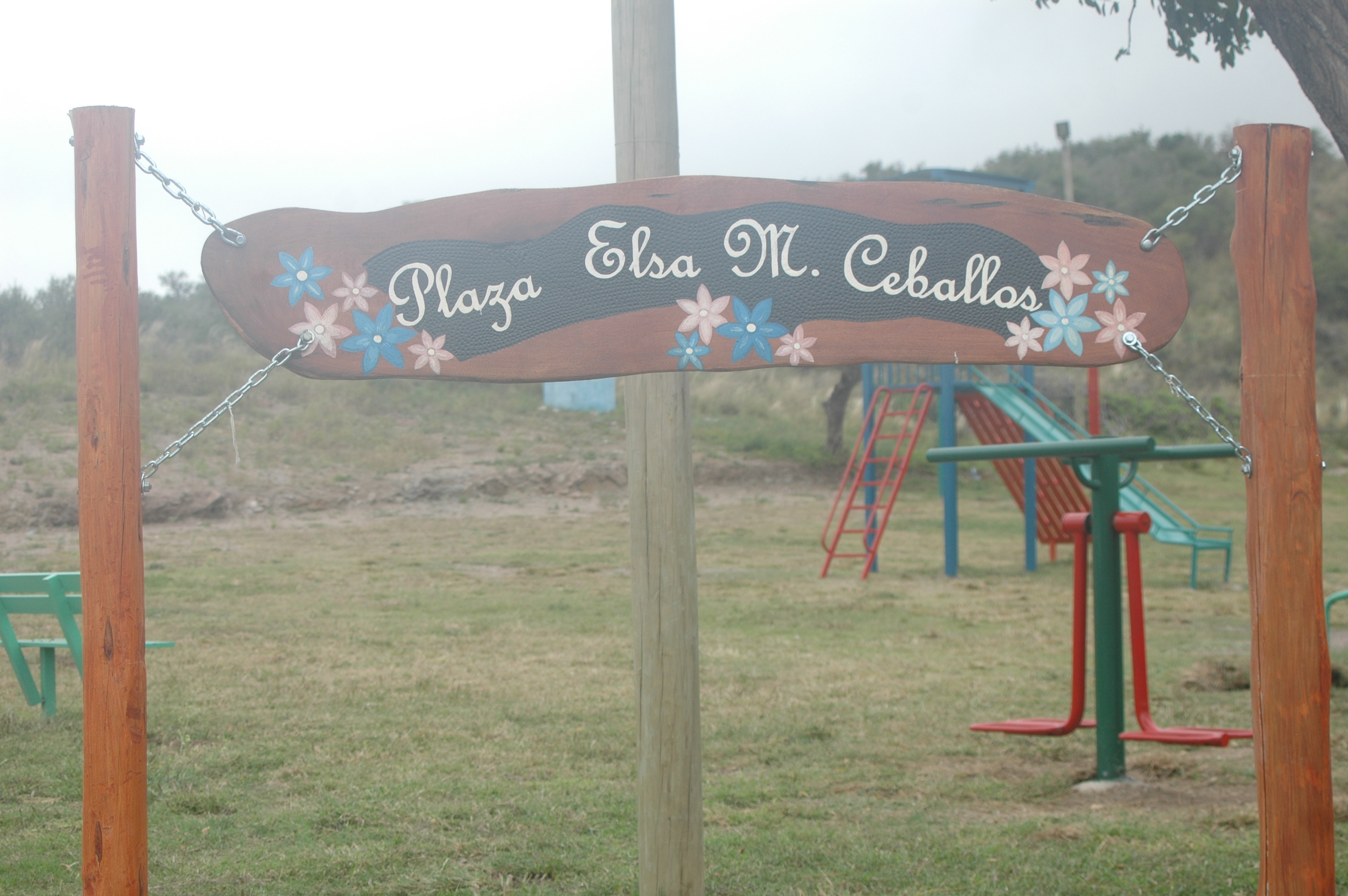 Imagen adicional
