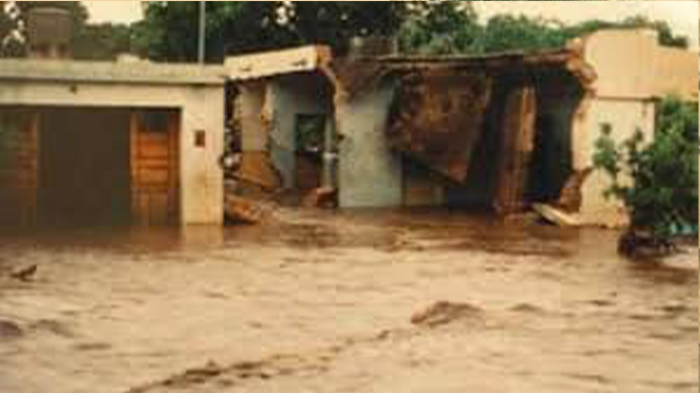 Imagen adicional